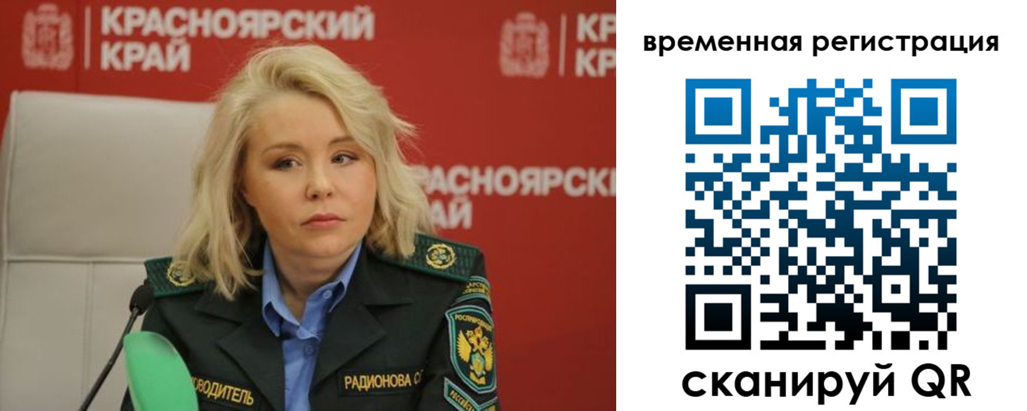 прописка поиск в Электрогорске